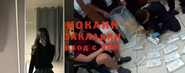 стаф Арсеньев