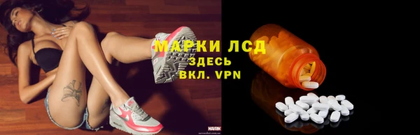 стаф Арсеньев
